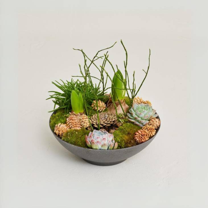 Winter planting