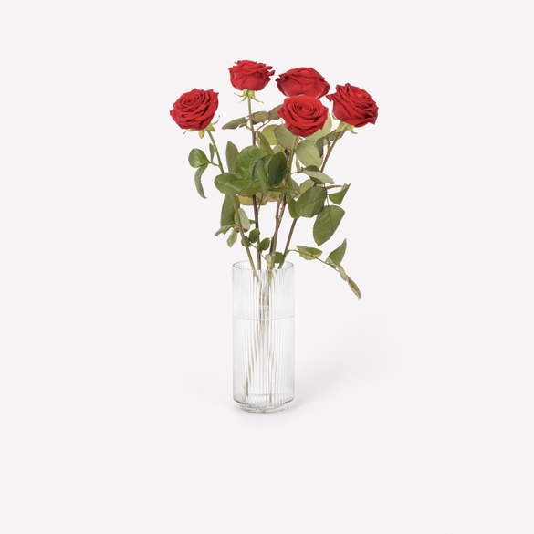 5 red roses