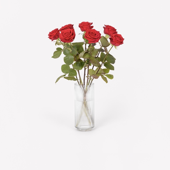 7 red roses