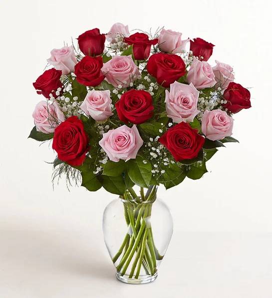 Ultimate Elegance Long 48 Stems Pink & Red Roses