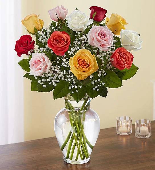 Rose Elegance Premium Long 24 Stems Assorted Roses