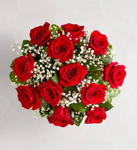 Rose Elegance Premium Long 18 Stems Red Roses