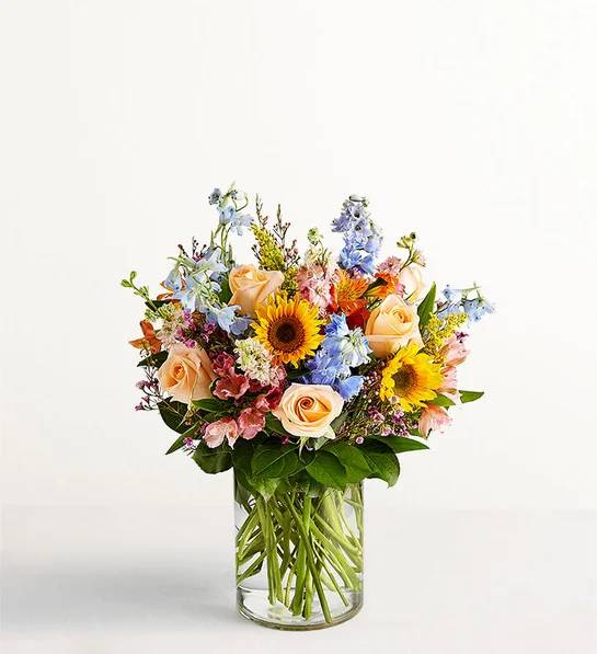 Spring Sensation™ (Small)