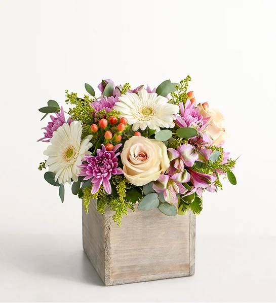 Seraphina's Garden (Small)