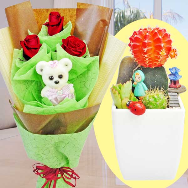 Mini Cactus Garden With 3 Red Roses And  Bear Hand Bouquet