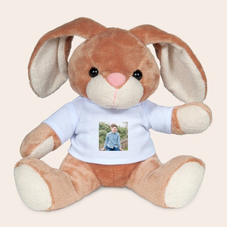 Rabbit hug with photo