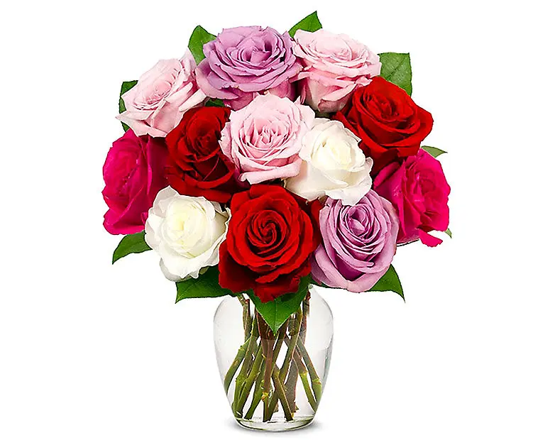 One Dozen Classic Assorted Roses