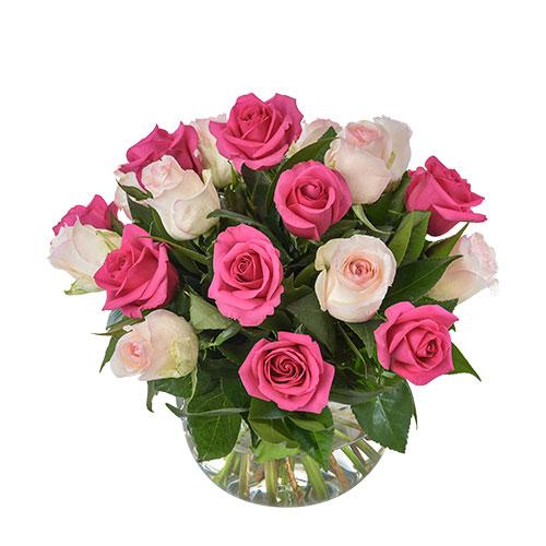 Delightful Pink And White Roses