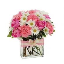 Roses, Gerberas N Carnations