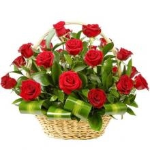 Romantic Roses