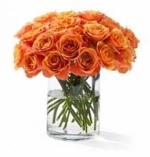 Orange Peel