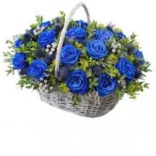 Genus Rose