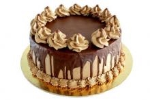 Chocolate Fiesta