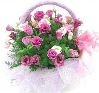 Basket of Love to Japan