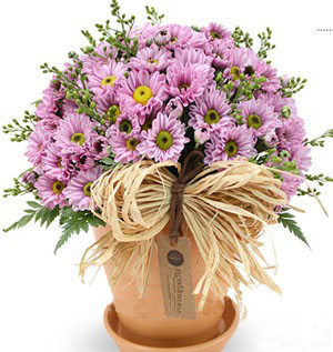 Fall Flower Pot to South Korea-Purple