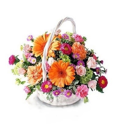 Basket of All Happyness