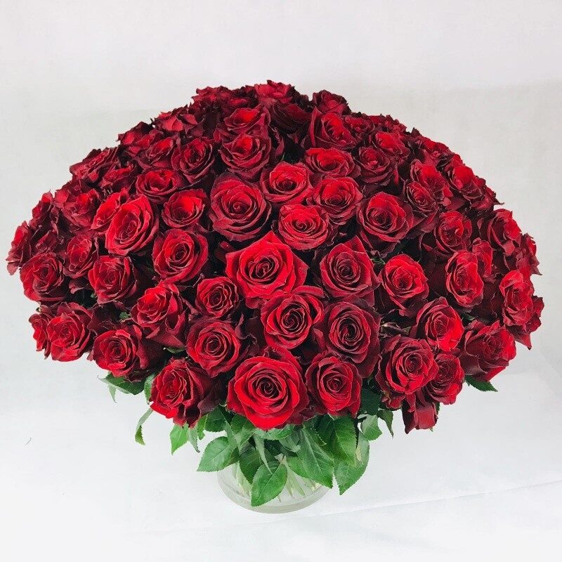 Bouquet Of Red Roses (Compact)
