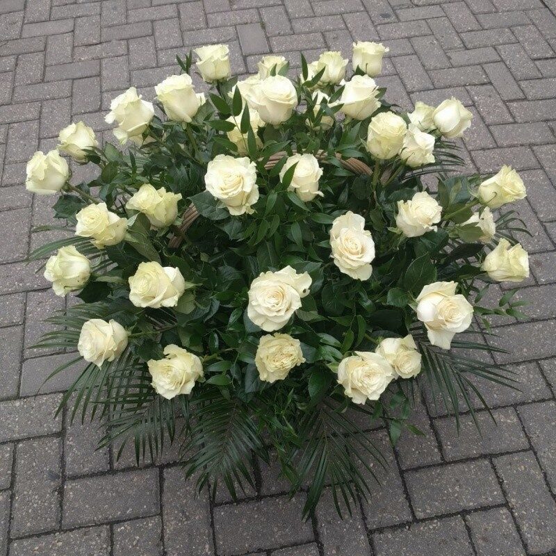 White roses in a basket (Compact)
