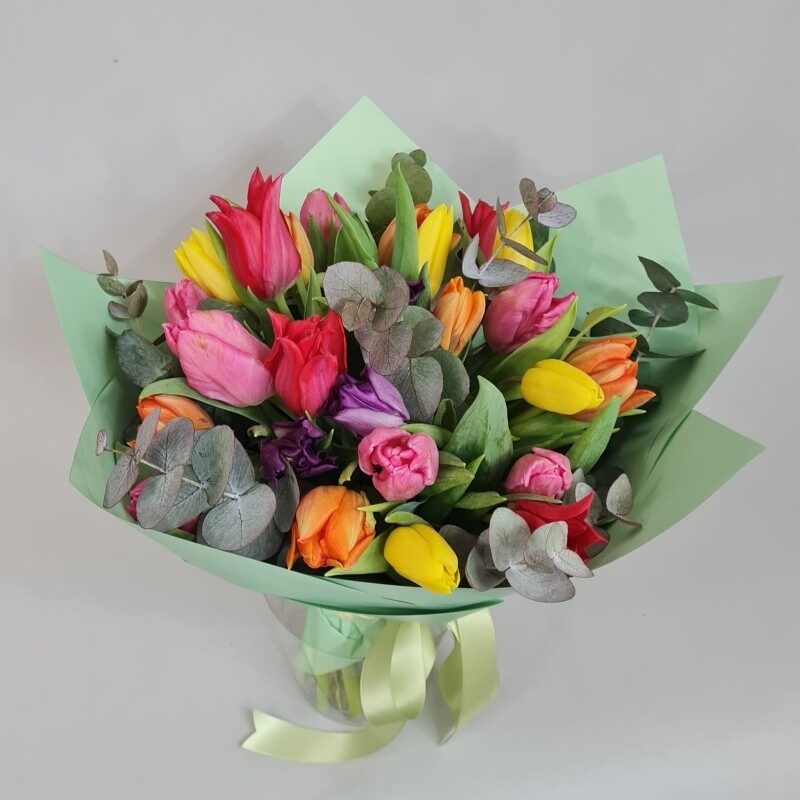 Bouquet of pink tulips (Compact)