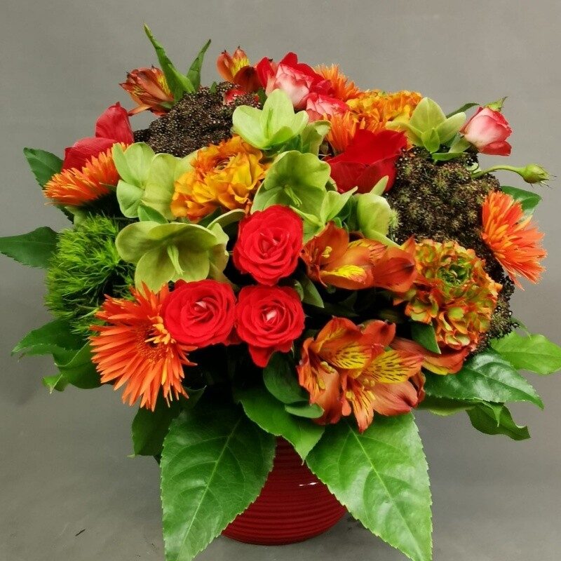 Colourful tulips in a bouquet (Compact)