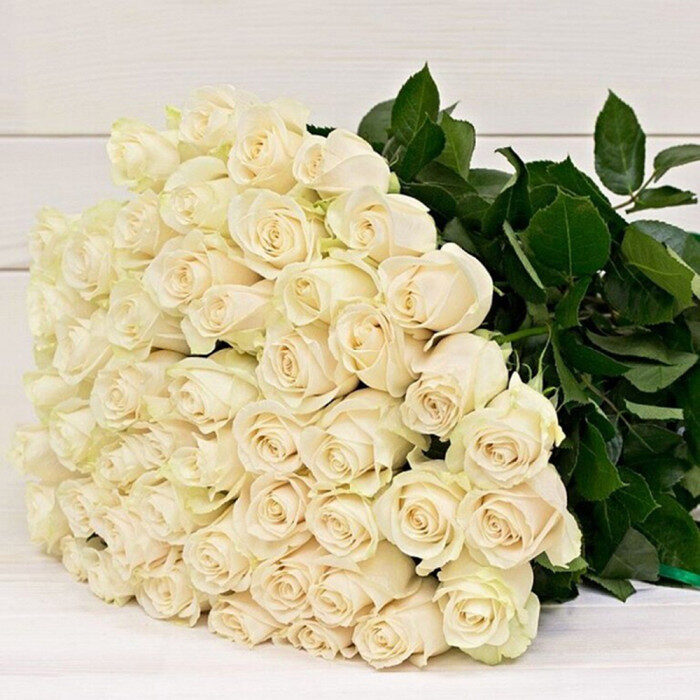 51 White Rose (40 cm)