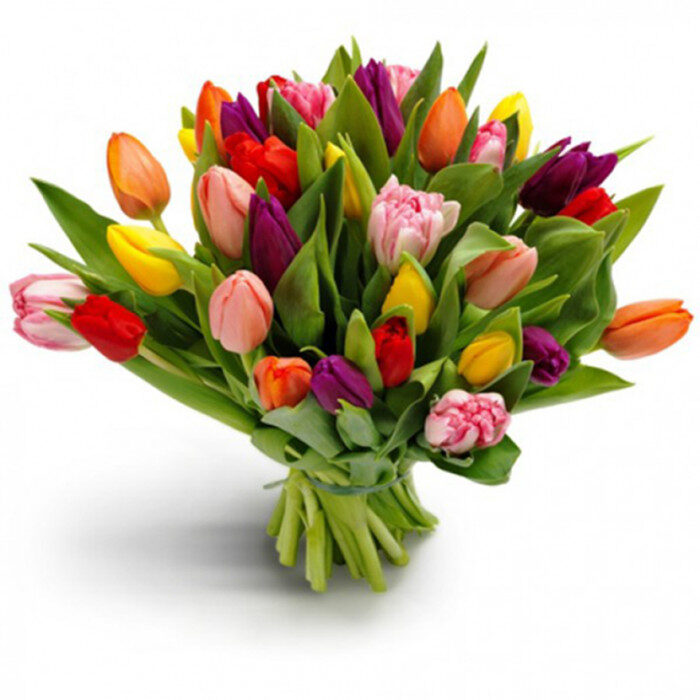 Multi-Color Tulip Bouquet "Amsterdam"(35)