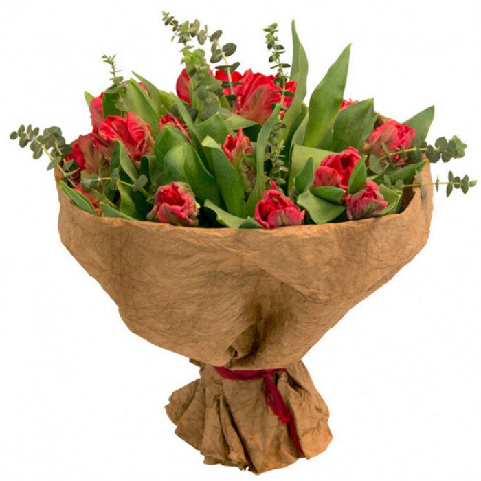Red tulips & Eucalyptus(25)