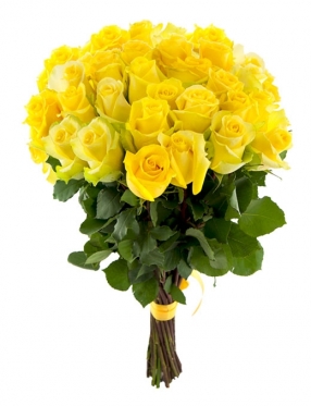 Elite Long Stem Yellow Roses (7 stems)