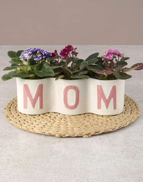 Mothers Day African Violet Surprise