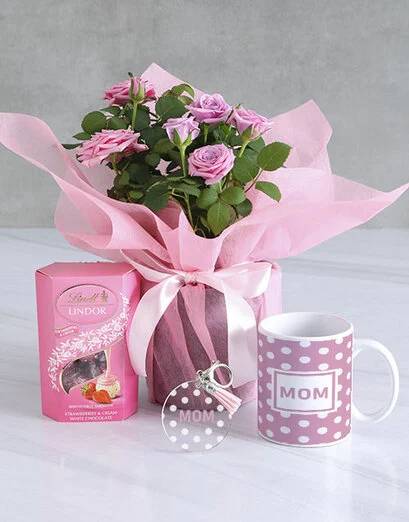 Super Mom Heart Rose Bush Gift Set