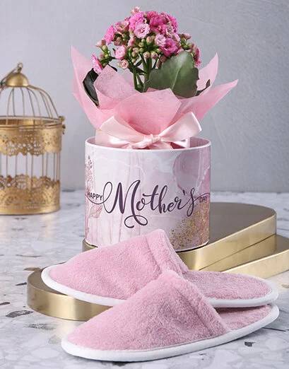 Pink Plant Hamper
