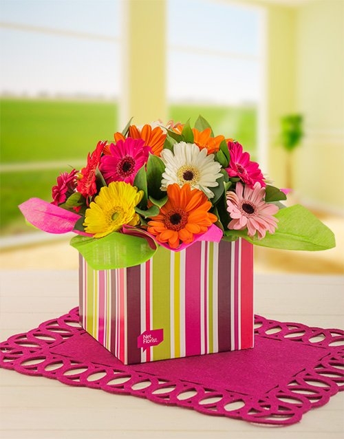Mixed Mini Gerberas In A Stripe Box