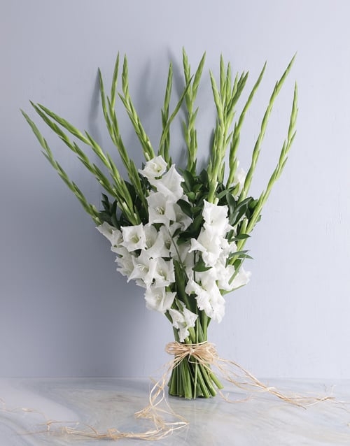 Gladiolus of Love Bouquet (Small)