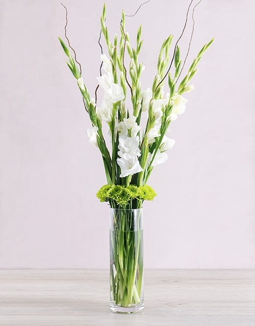White Gladiolus Vase