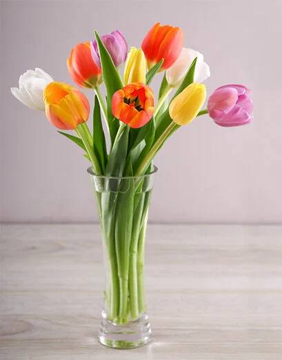Happiness Tulip Temptation (10 Tulips)