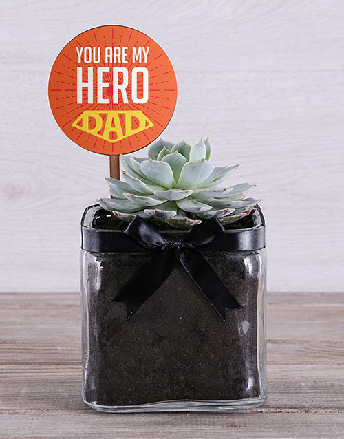 Mini Succulent Delight