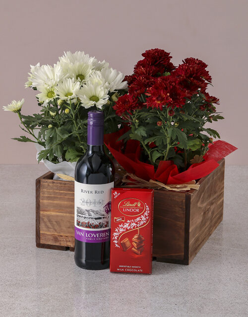 Red and White Chrysanthemum Gift Hamper