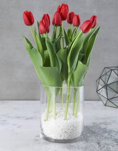 Red Tulips In Clear Cylinder Vase