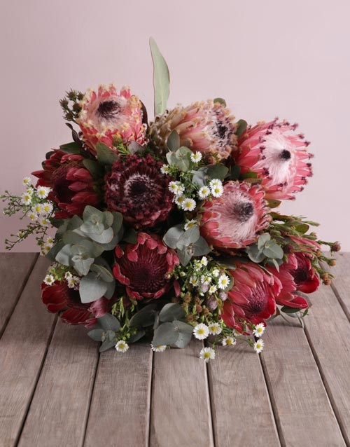 Pink Protea Floral Variety (Standard)
