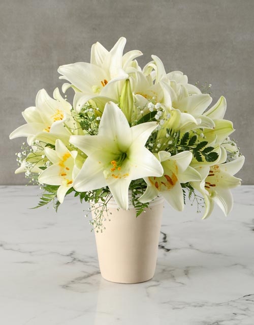 Brilliant White Lily Arrangement (STANDARD)