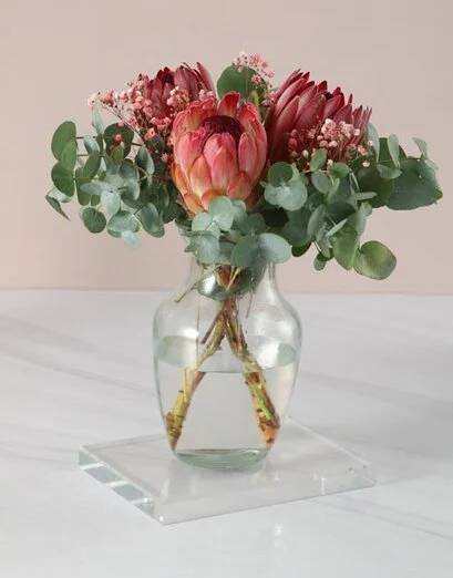Stunning And Stylish Proteas