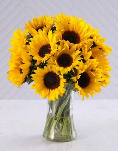 Smiling Sunflowers In Vase