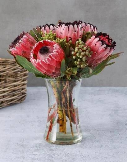 Protea Splendour Arrangement