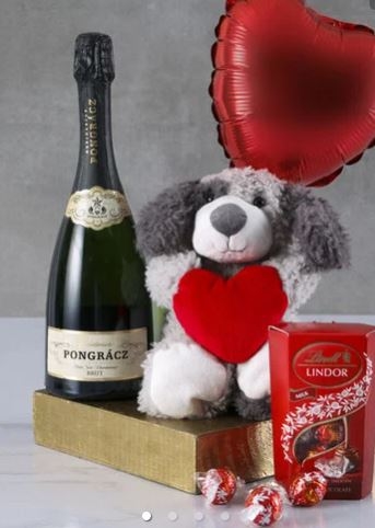 Heartwarming Pooch Plush Gift Box