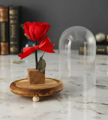 Love Everlasting Rose In A Dome