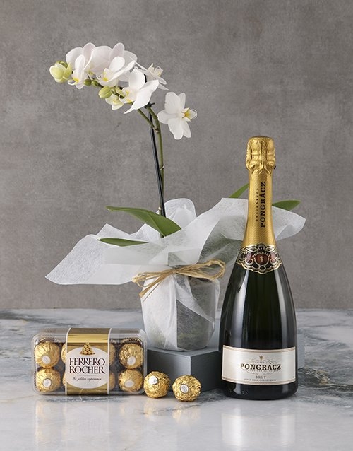 Romantic Phalaenopsis Orchid Gourmet Hamper