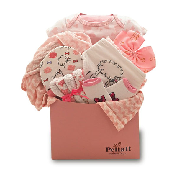Petite Love Baby Girl Gift Basket Petite Love Baby Girl Gift Basket