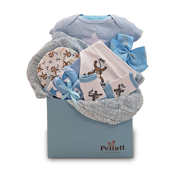 A Little Love Baby Boy Gift Basket A Little Love Baby Boy Gift Basket