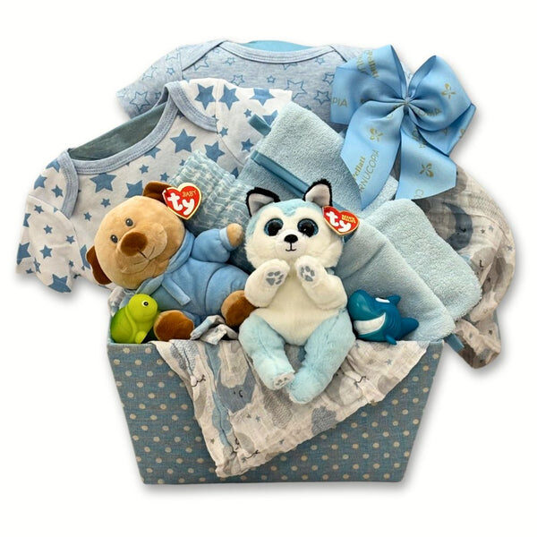 Double the Fun Twin Boys Gift Basket Double the Fun Twin Boys Gift Basket