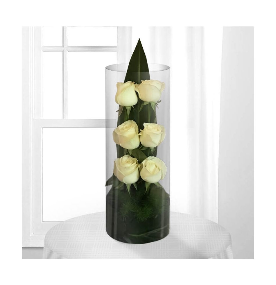 6 Stems of White Rose in a vase